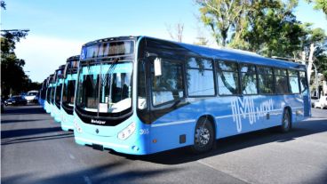 Movi, El Cacique y Rosario Bus, las nuevas empresas del TUP rosarino.