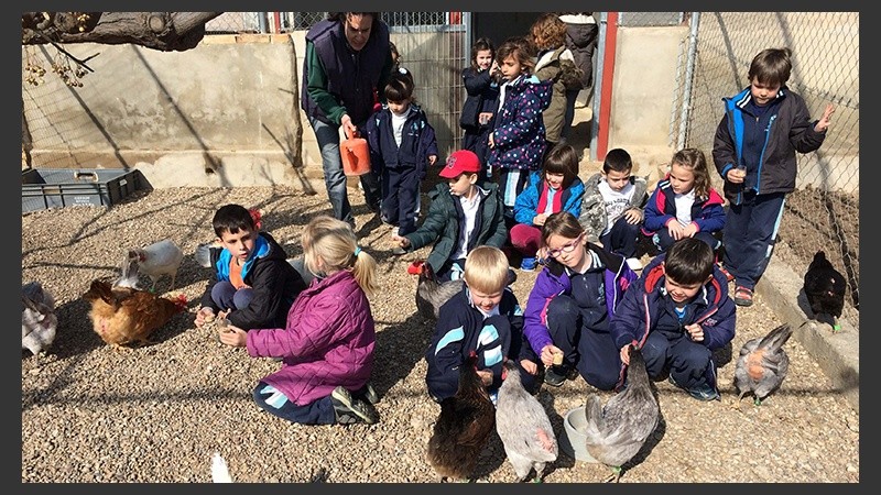 La granja permite a los alumnos adquirir un 