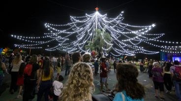 Así quedó el árbol de luces led.