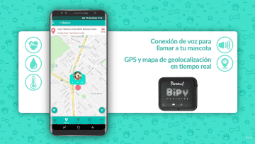 Personal lanz un dispositivo para mascotas desarrollado en