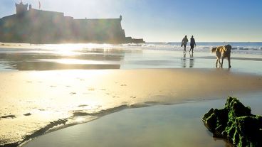 Las playas, uno de los atractivos preferidos del país.