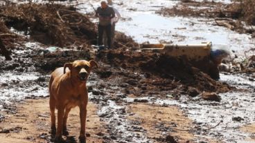 El alud se llevó todo a su paso por el pueblo.