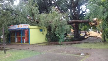 El fenómeno azotó con fuerza al centro provincial.