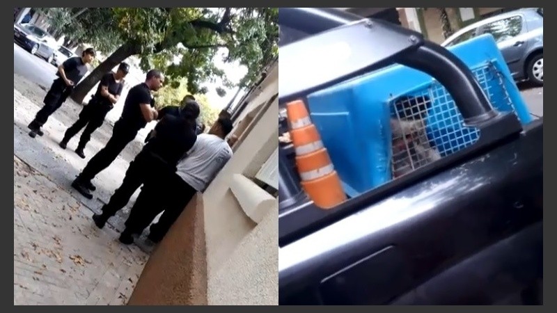 La policía entró a la casa y sacó a los perros en caniles.