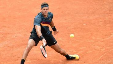 Del Potro ganó y avanza en París.