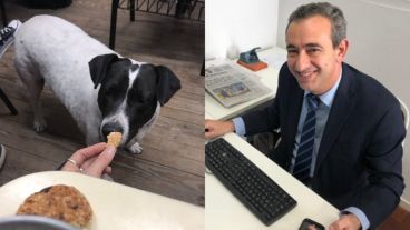 El intendente electo se refirió al Perro Vaca.