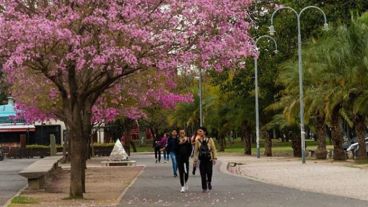 El mes de octubre llega con algunos días no laborables.