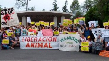 Los veganos bregan por proteger a los animales.