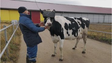 Los desarrolladores crearon un programa para simular un campo en verano.