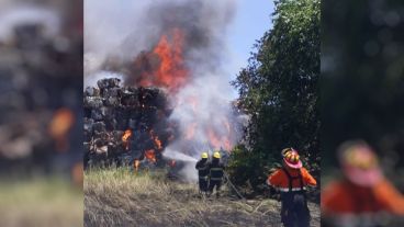 Trabajan en el lugar 17 dotaciones de bomberos.