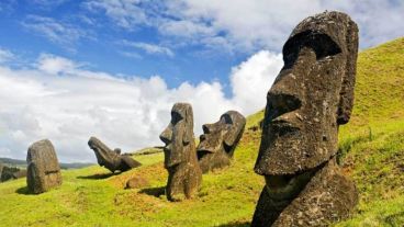 Los rapanui cultivaban una gran variedad de vegetales en la misma zona.