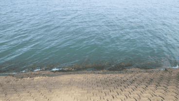 El fenómeno se observó sobre la costanera del río Paraná en Posadas.