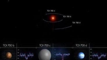 El nuevo planeta órbita alrededor de su estrella en 37 días.