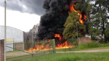 Pasadas las 10.30, lograron controlar el fuego.