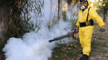 La fumigación de mosquitos combate la propagación del mosquito aedes aegypti.