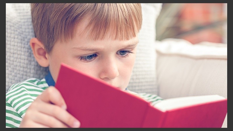 La lectura es la actividad idónea para garantizar el mejor estado mental.