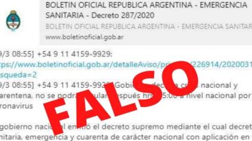 La fiscal sostuvo que la difusión del falso contenido puede generar “alarma” en la población y constituir un delito de acción pública.