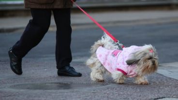 Se sugieren varios cuidados a la hora de salir a pasear.