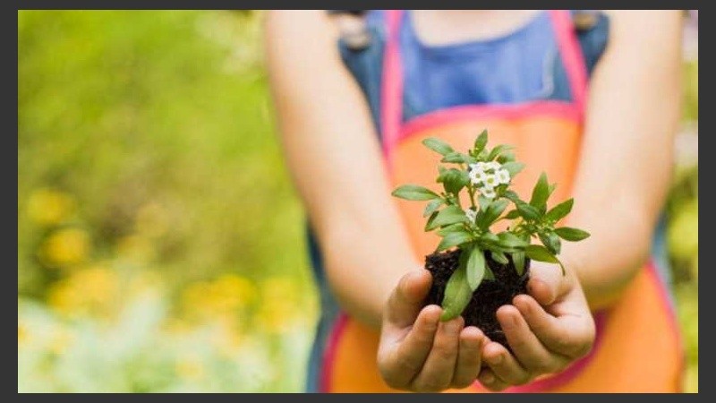 En el Refugio Municipal se realizó un taller de huerta, a partir de los intereses de las personas que allí se alojan.