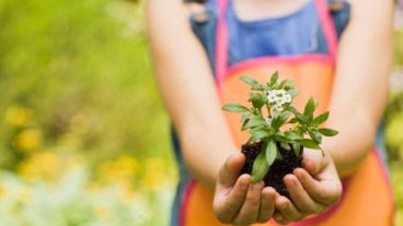 En el Refugio Municipal se realizó un taller de huerta, a partir de los intereses de las personas que allí se alojan.