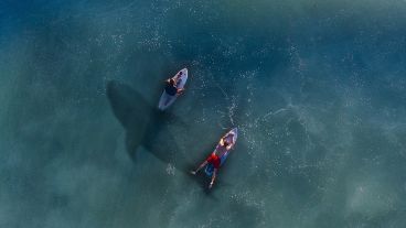 A pesar del susto y sus heridas, Nacass aseguró  que desea volver a surfear.