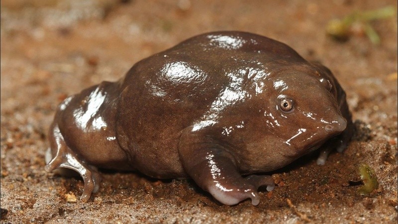 Trabajar para reducir el impacto humano en la naturaleza es la clave.