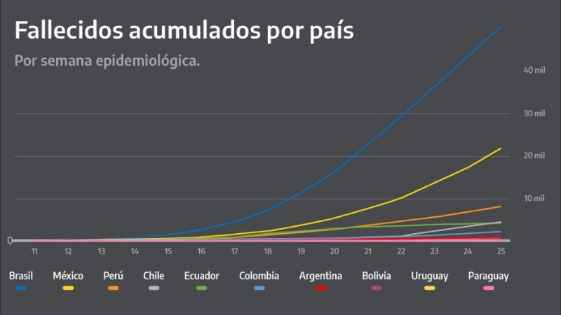 Curvas de fallecidos de países vecinos: Brasil y Chile tienen diez veces más que Argentina.