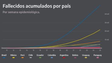 Curvas de fallecidos de países vecinos: Brasil y Chile tienen diez veces más que Argentina.