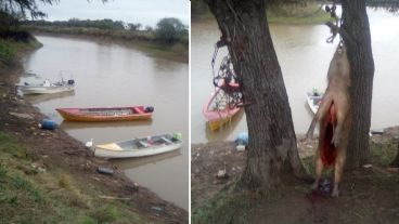 Las imágenes del operativo en el Delta del Paraná.