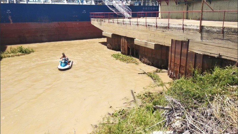 El yacaré en la zona norte de Rosario.