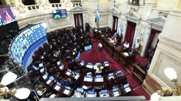 El proyecto de aprobó en Diputados y pasó al Senado