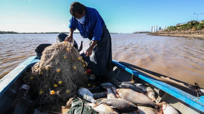 Se habilitó hasta el 9 de julio la pesca deportiva y recreativa. 