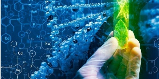 El Gobierno Oficializó La Ley De Biotecnología Para Impulsar La Industria Del Conocimiento