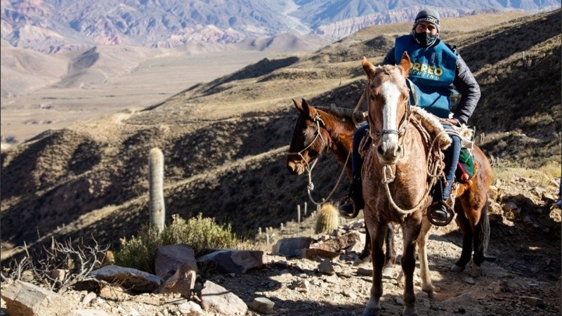 El operativo incluye un recorrido de 12 horas en mula para llegar al local de comicios más remoto del país, ubicado en el paraje El Durazno en la provincia de Jujuy.