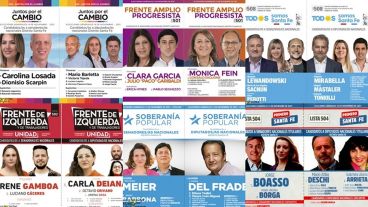 La oferta electoral de este domingo 14 se redujo luego de las primarias.