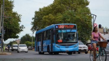 La medida rige desde las 15 hasta las 22, en todas las líneas y banderas que prestan su servicio en la ciudad.