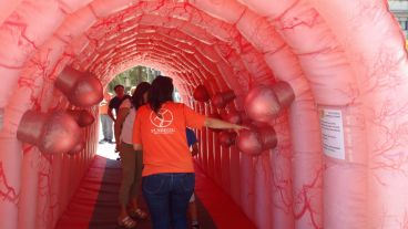 El colon inflable se instalará en el centro de Rosario para crear conciencia