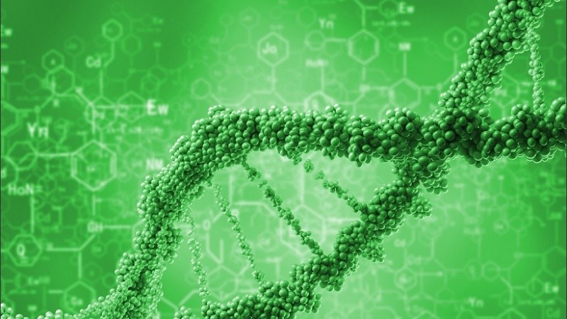 DNA research background