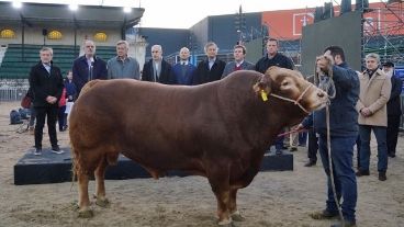 Una ausencia en la Rural de Palermo levantó debate. Pero no todo es lo que parece