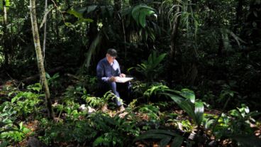 Imagen del documental "Había una vez un bosque"