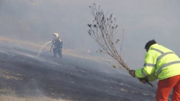 El combate del fuego cuerpo a cuerpo este viernes muy cerca de la ruta 174.