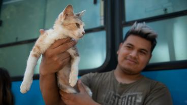 Se reciben mascotas sin turno previo desde este lunes en ambos lugares de Fisherton.