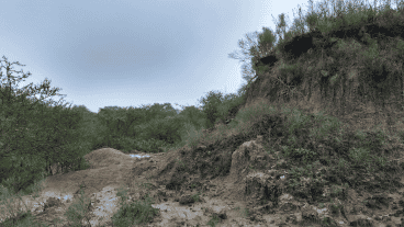 La riqueza de las 89 hectáreas al sur del arroyo Saladillo ya es Reserva Natural Manejada.