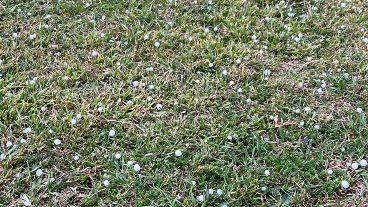 En zona oeste, el granizo se sintió durante algunos minutos.