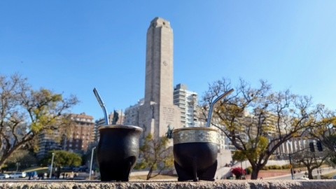 Cómo es el negocio de la yerba mate argentina: los secretos del otro “oro  verde”