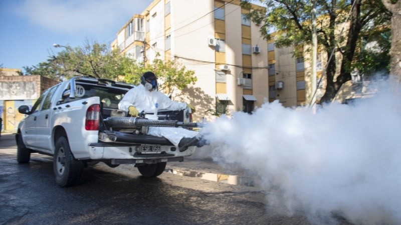 Desde la Municipalidad subrayaron la importancia de reducir los criaderos de mosquitos en casas, eliminando recipientes que acumulan agua.