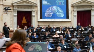 El proyecto salió con 111 votos afirmativos, 96 negativos y 5 abstenciones.