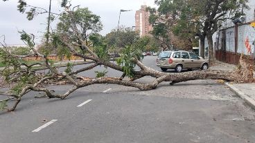 Avenida del Huerto, cortada momentáneamente a la altura de Mitre.