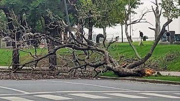 Avenida del Huerto, cortada momentáneamente a la altura de Mitre.