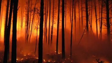 Aunque los costos económicos son mayores, se han reducido"drásticamente" las víctimas mortales por desastres climáticos.